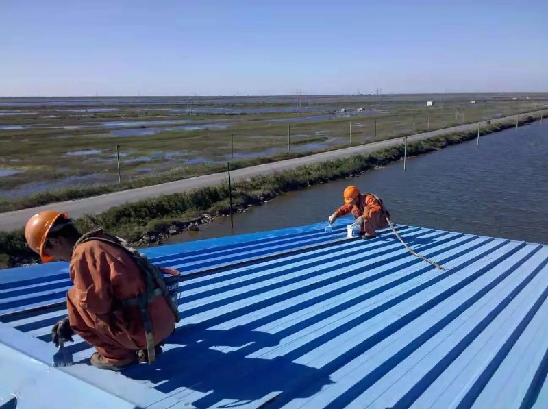 新华钢结构屋面漏水原因